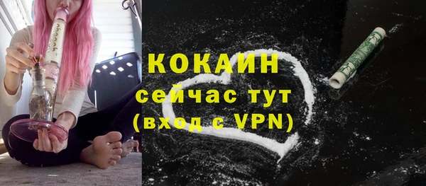 шишки Нефтегорск