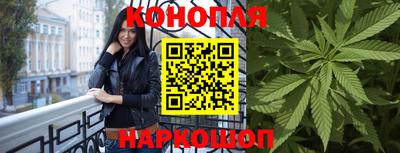 apvp Аргун