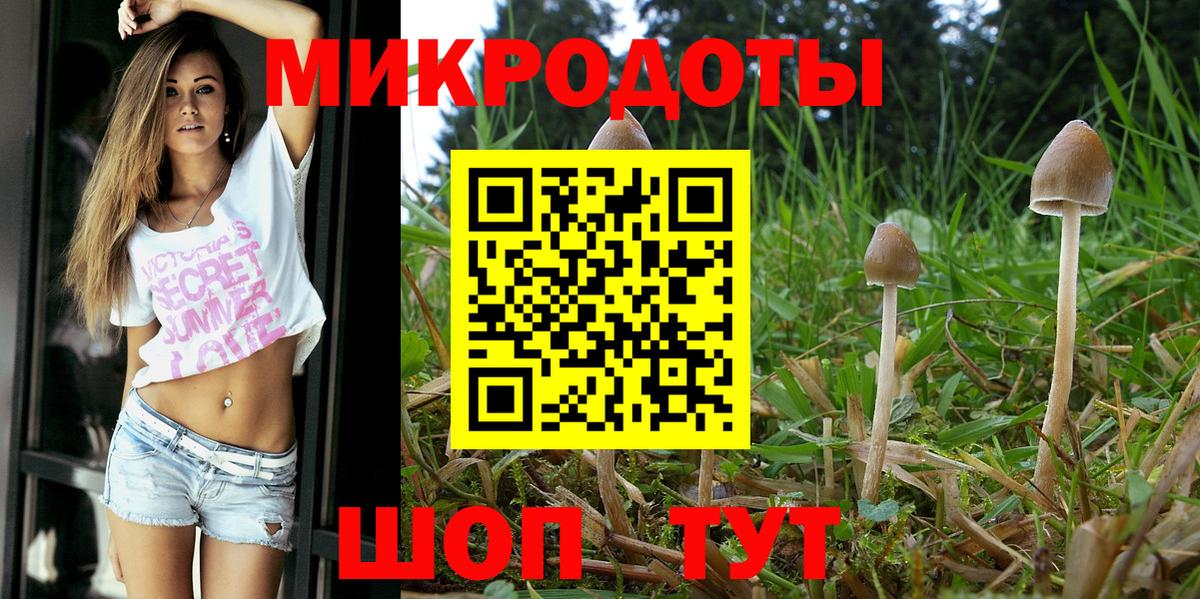 Галлюциногенные грибы ЛСД Кинешма